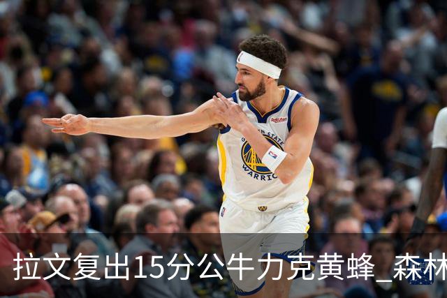 拉文复出15分公牛力克黄蜂 森林狼大胜火箭
